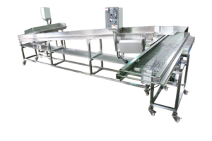 Stainless steel bearings